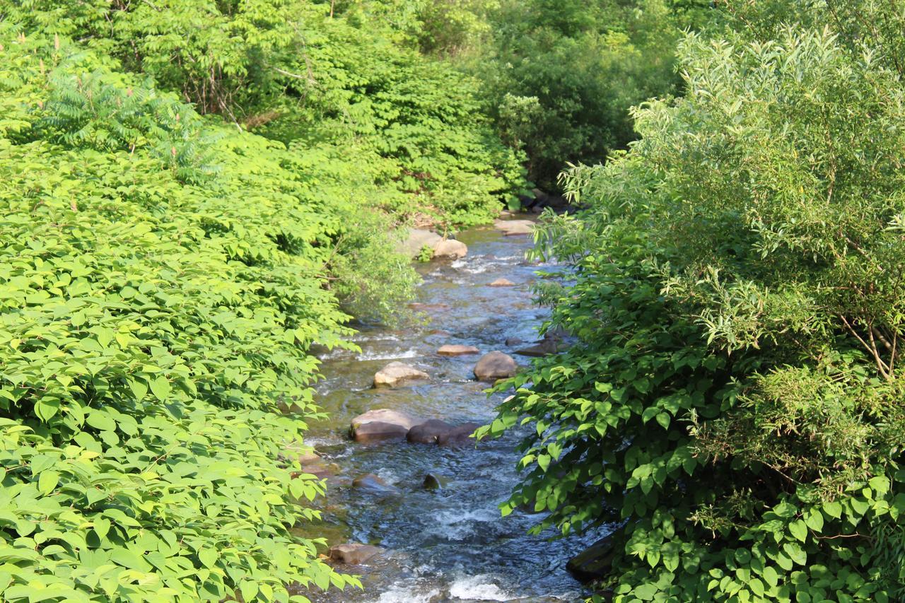 Catskill Seasons Shandaken